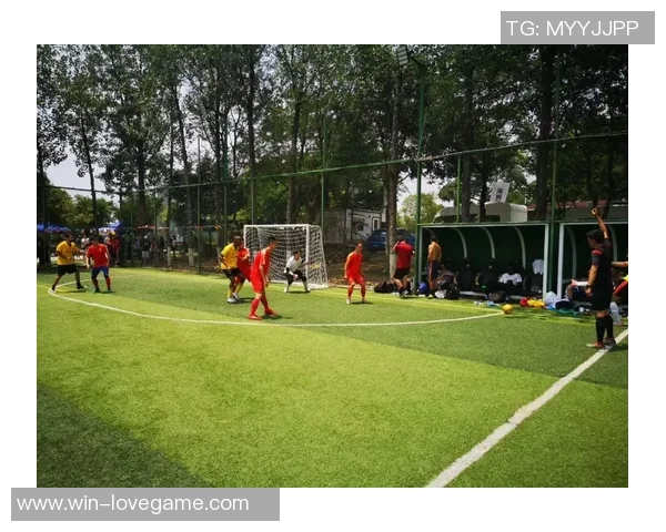 智慧龙城足球场引领城市体育新风尚助力全民健身与青少年成长